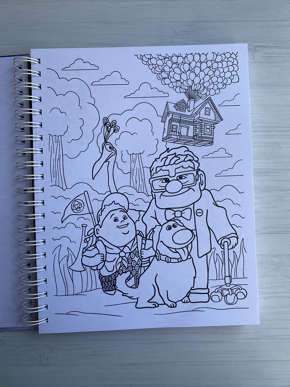 Libro para colorear “UP” 3