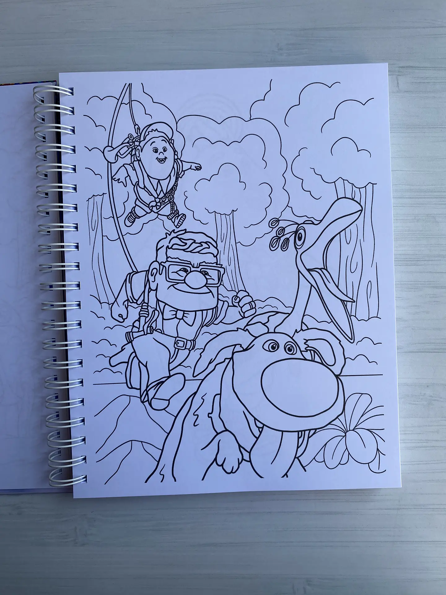 Libro para colorear “UP” 4