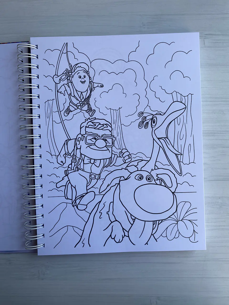 Libro para colorear “UP” 4