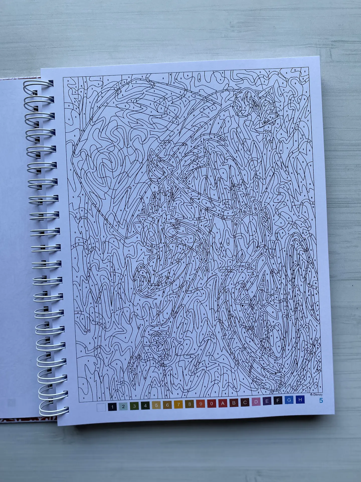 Libro para colorear 