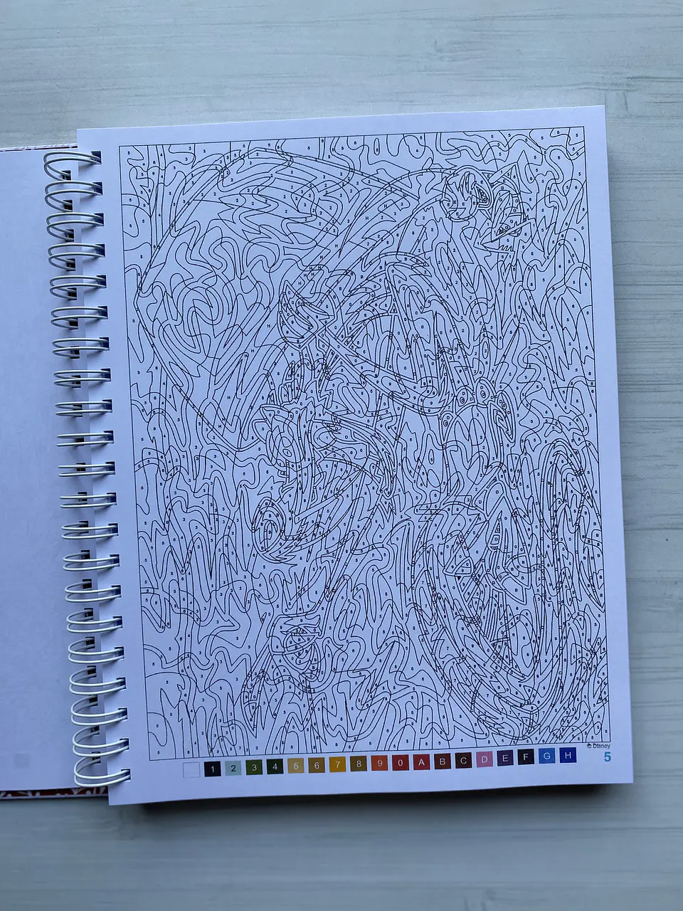 Libro para colorear 