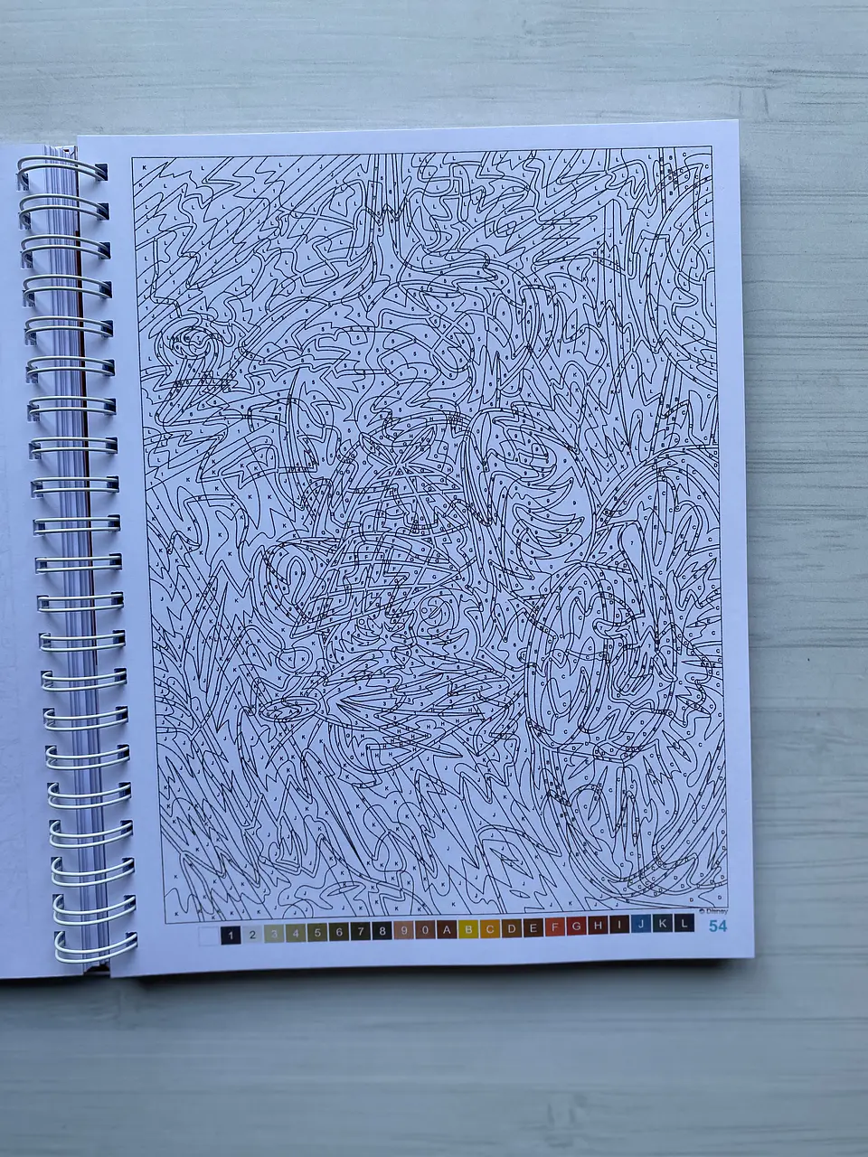 Libro para colorear 