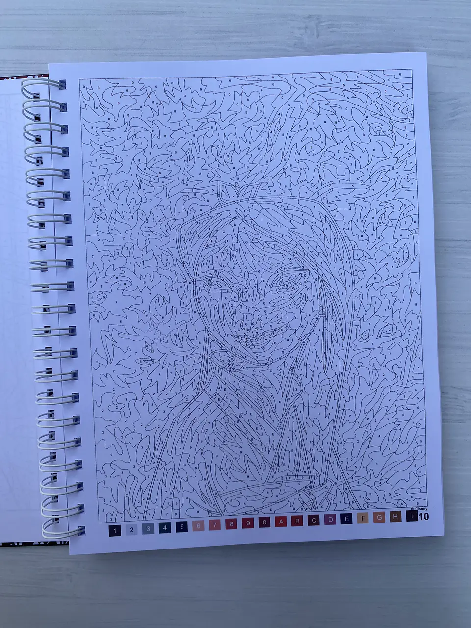 Libro para colorear 