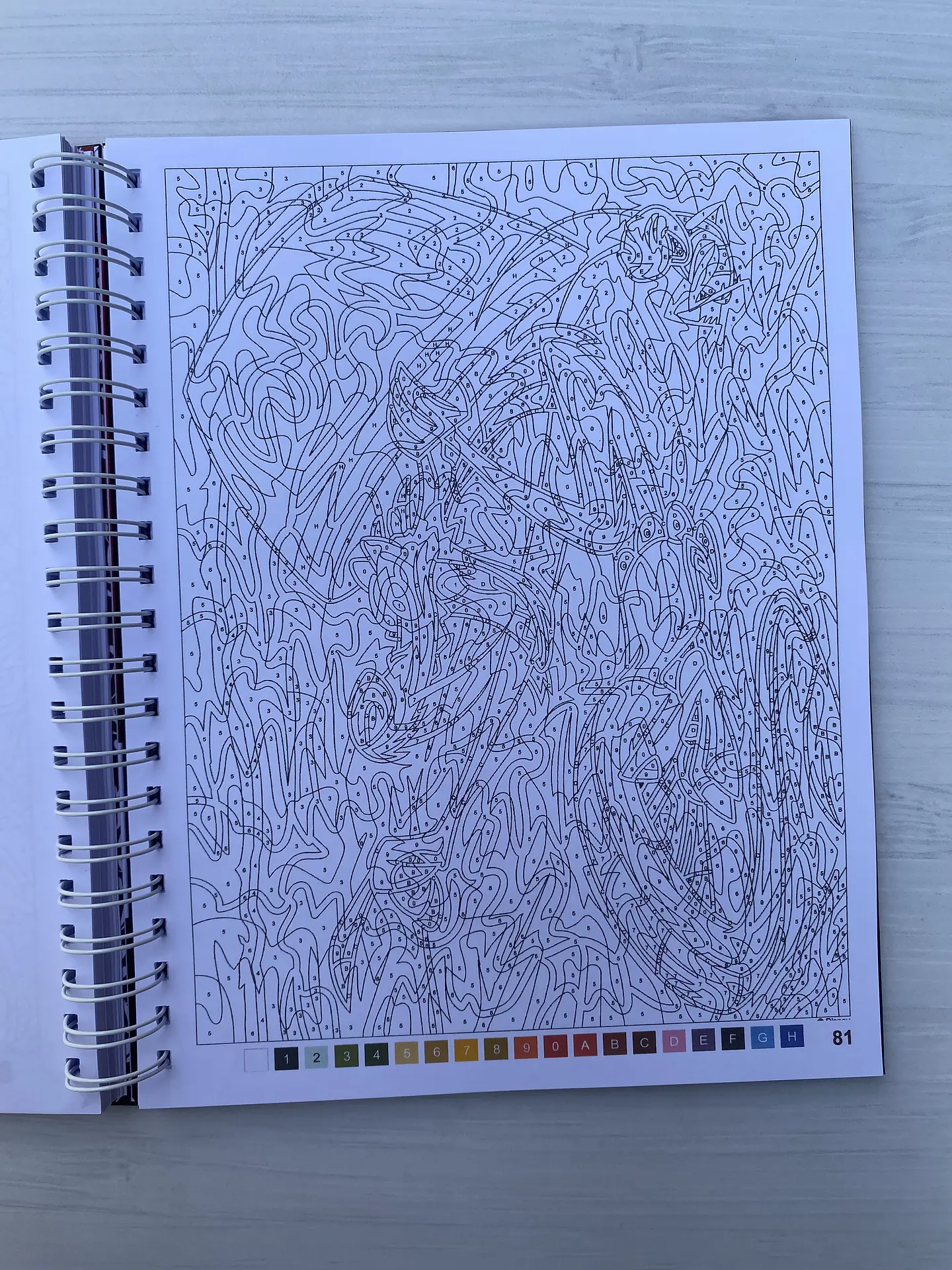 Libro para colorear 