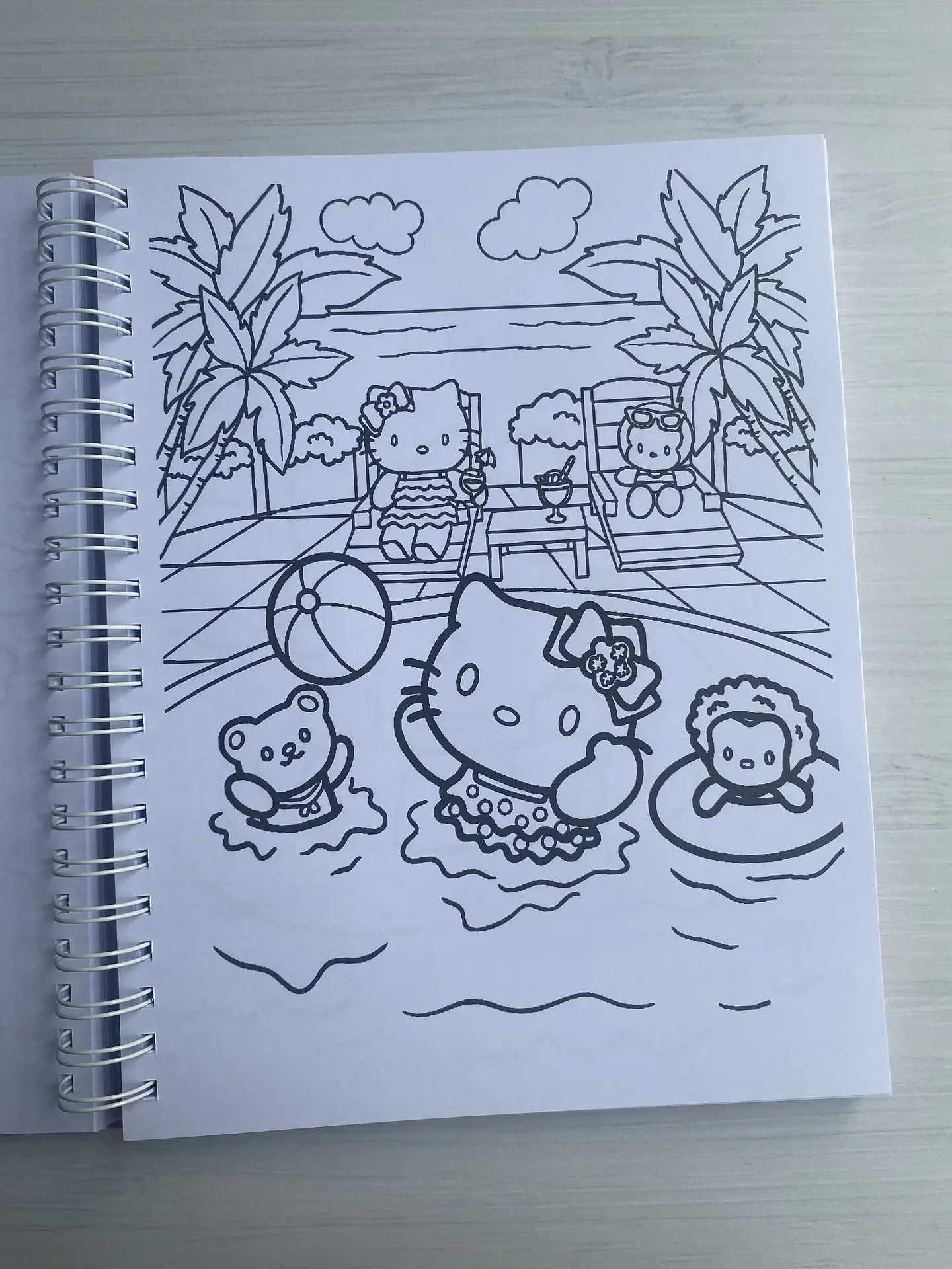 Libro para colorear “Sanrio” 8