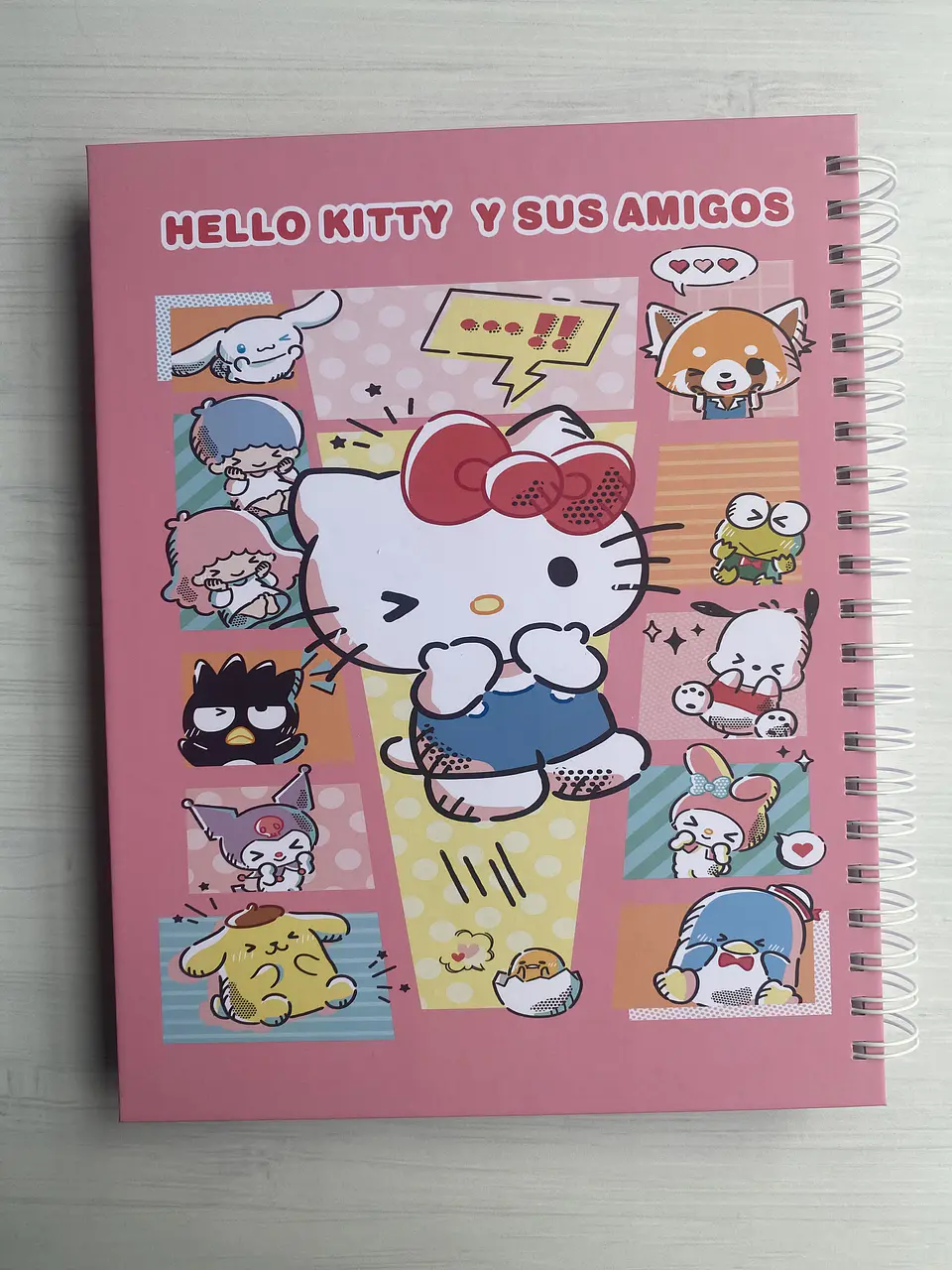 Libro para colorear “Sanrio” 11
