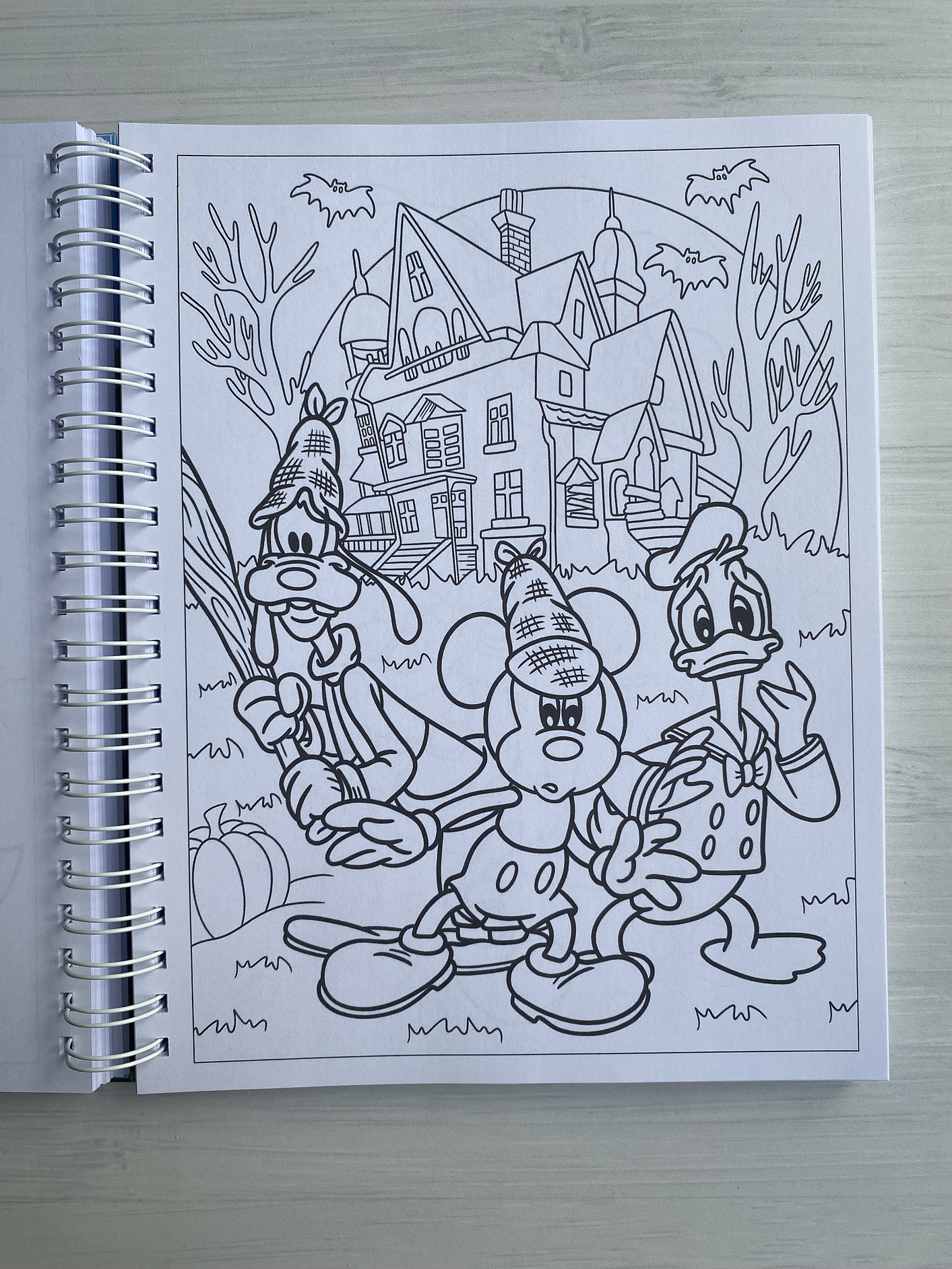 Libro para colorear “Mickey y sus amigos” 7