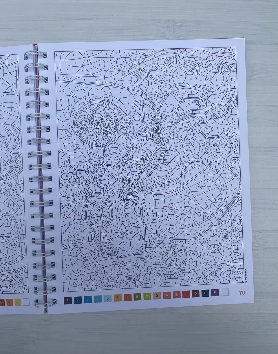 Libro para colorear 