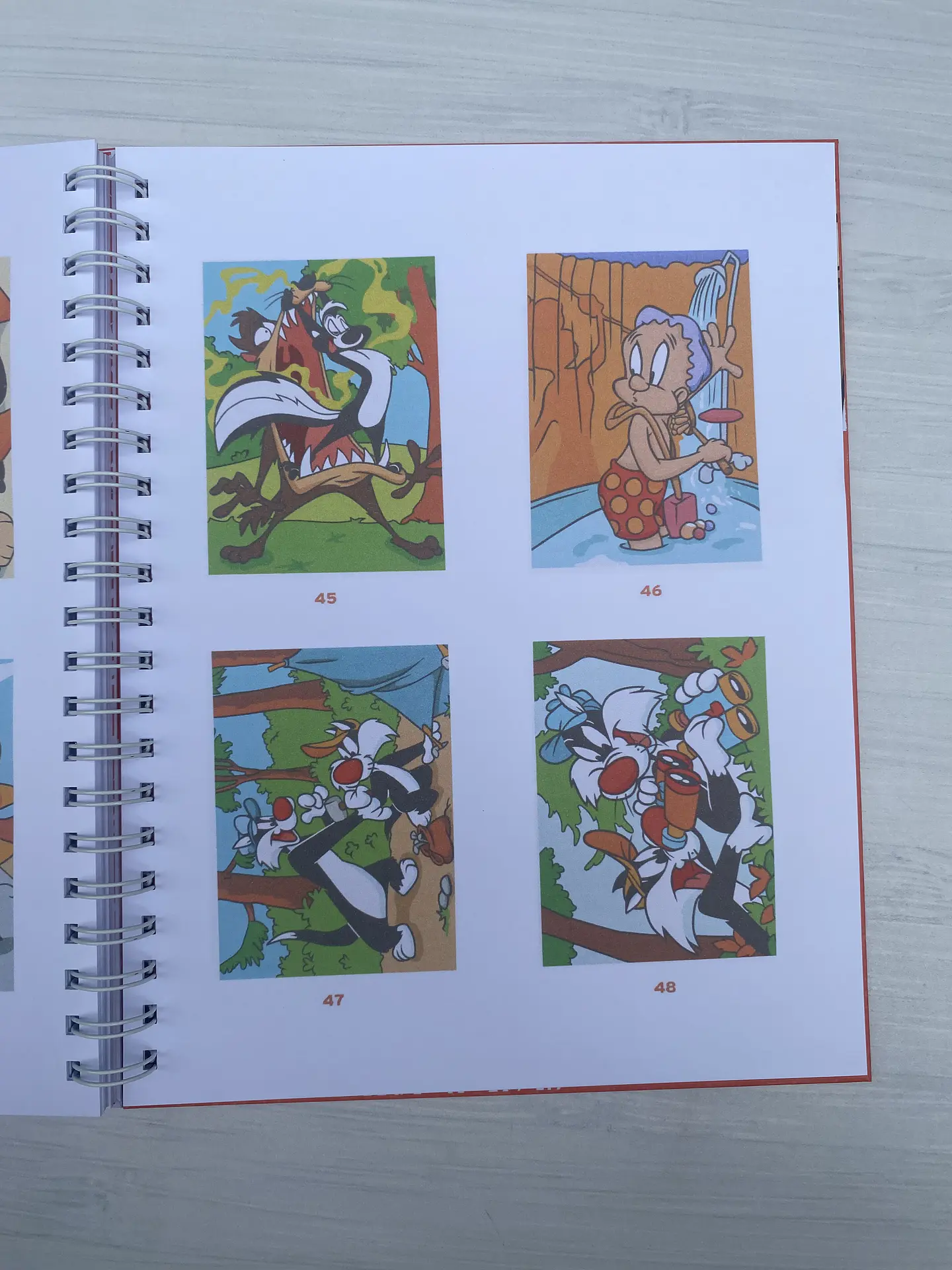 Libro para colorear 