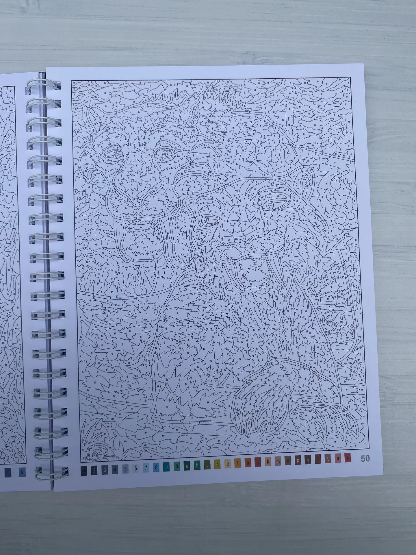 Libro para colorear “La Era del Hielo” 4