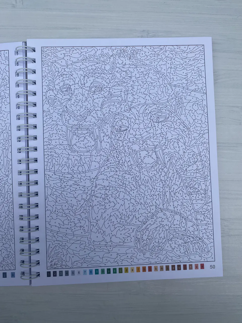 Libro para colorear “La Era del Hielo” 4