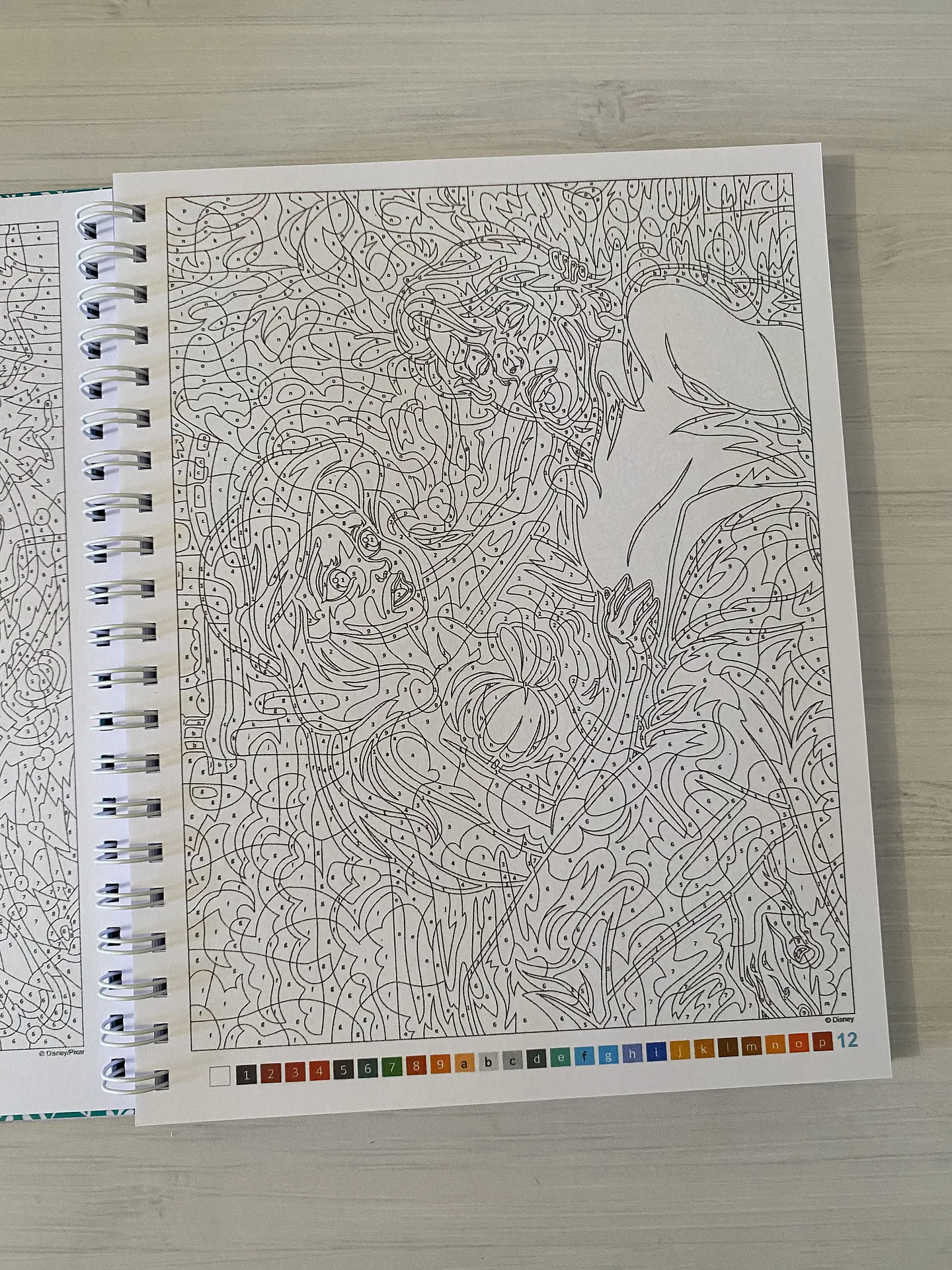 Libro para colorear “Príncipes y Héroes” 2