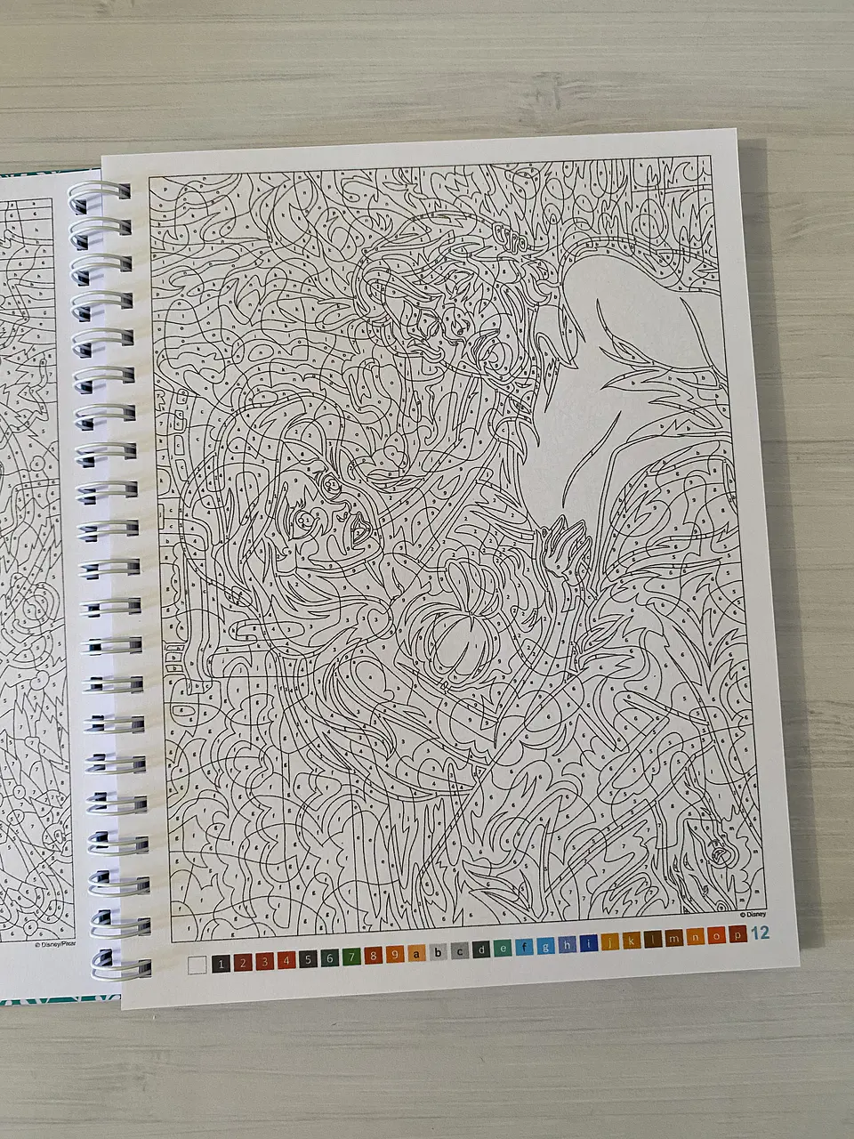 Libro para colorear “Príncipes y Héroes” 2