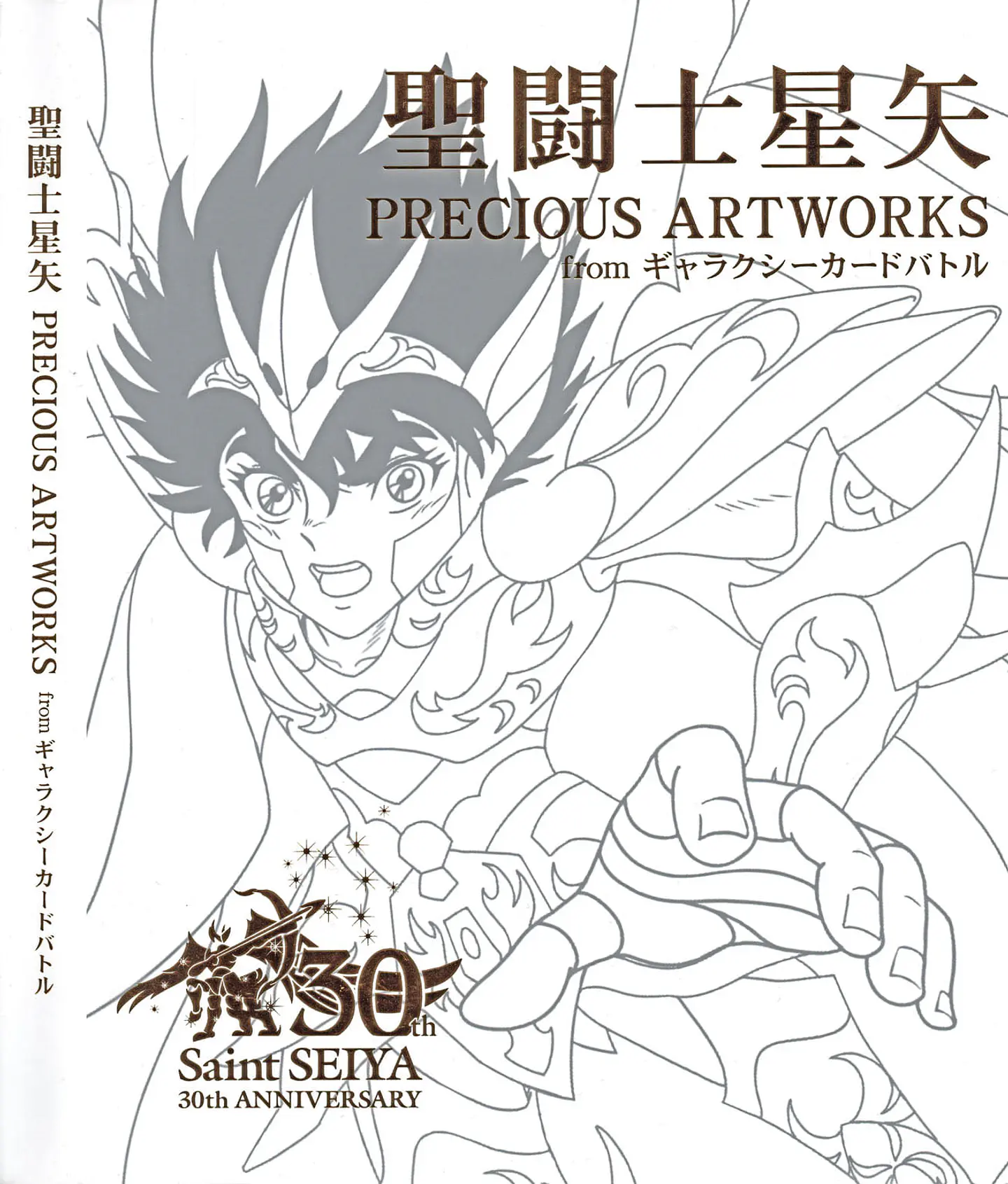 Saint Seiya PRECIOUS ART-WORK PDF 1