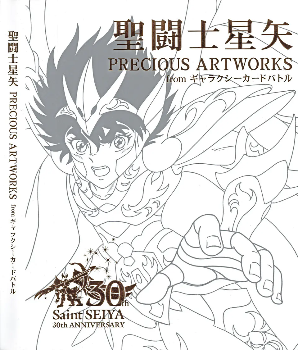 Saint Seiya PRECIOUS ART-WORK PDF 1
