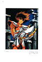 Saint Seiya PRECIOUS ART-WORK PDF - Miniatura 2