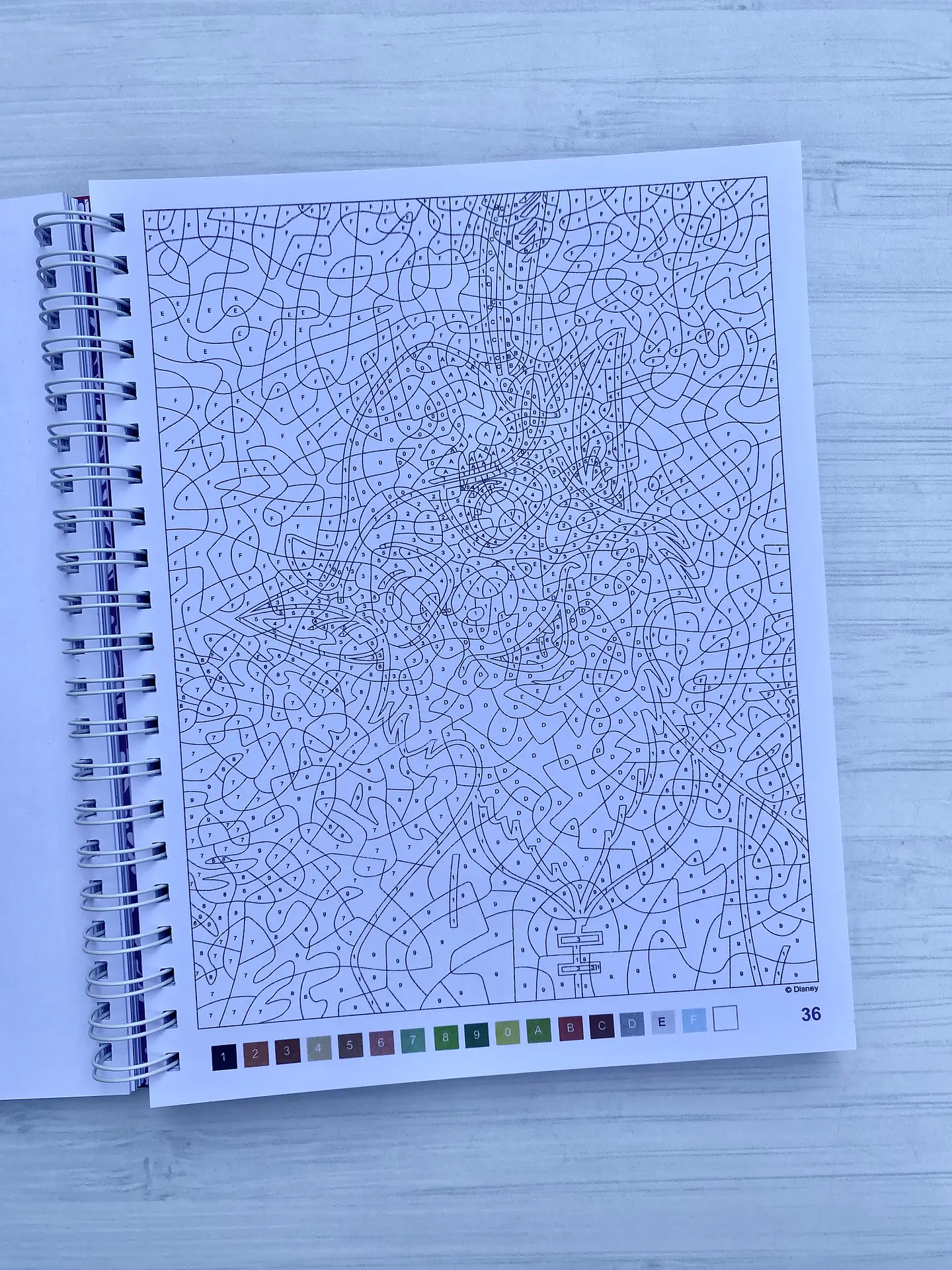 Libro para colorear 