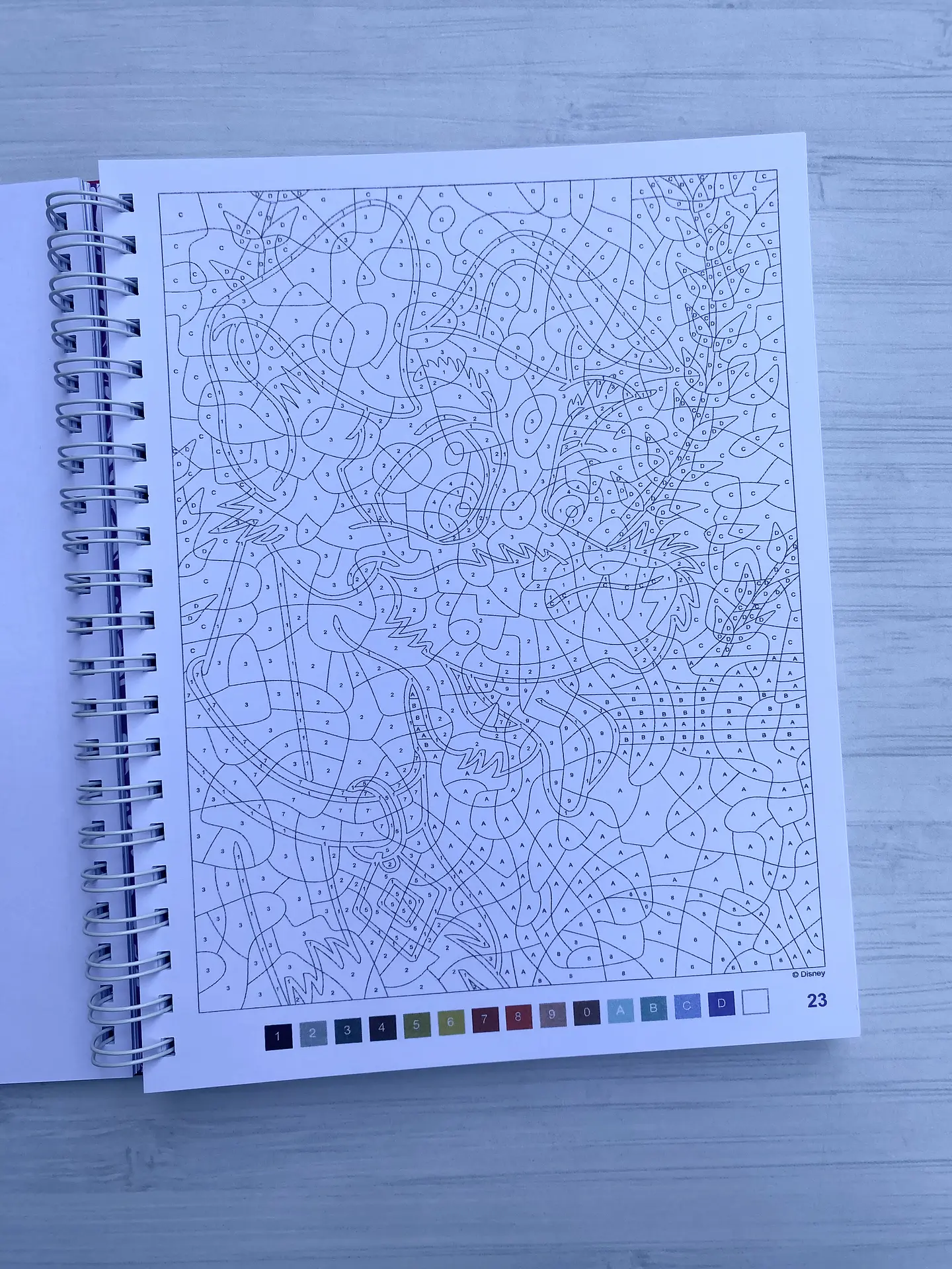 Libro para colorear 