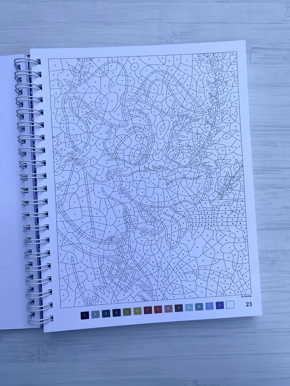 Libro para colorear 