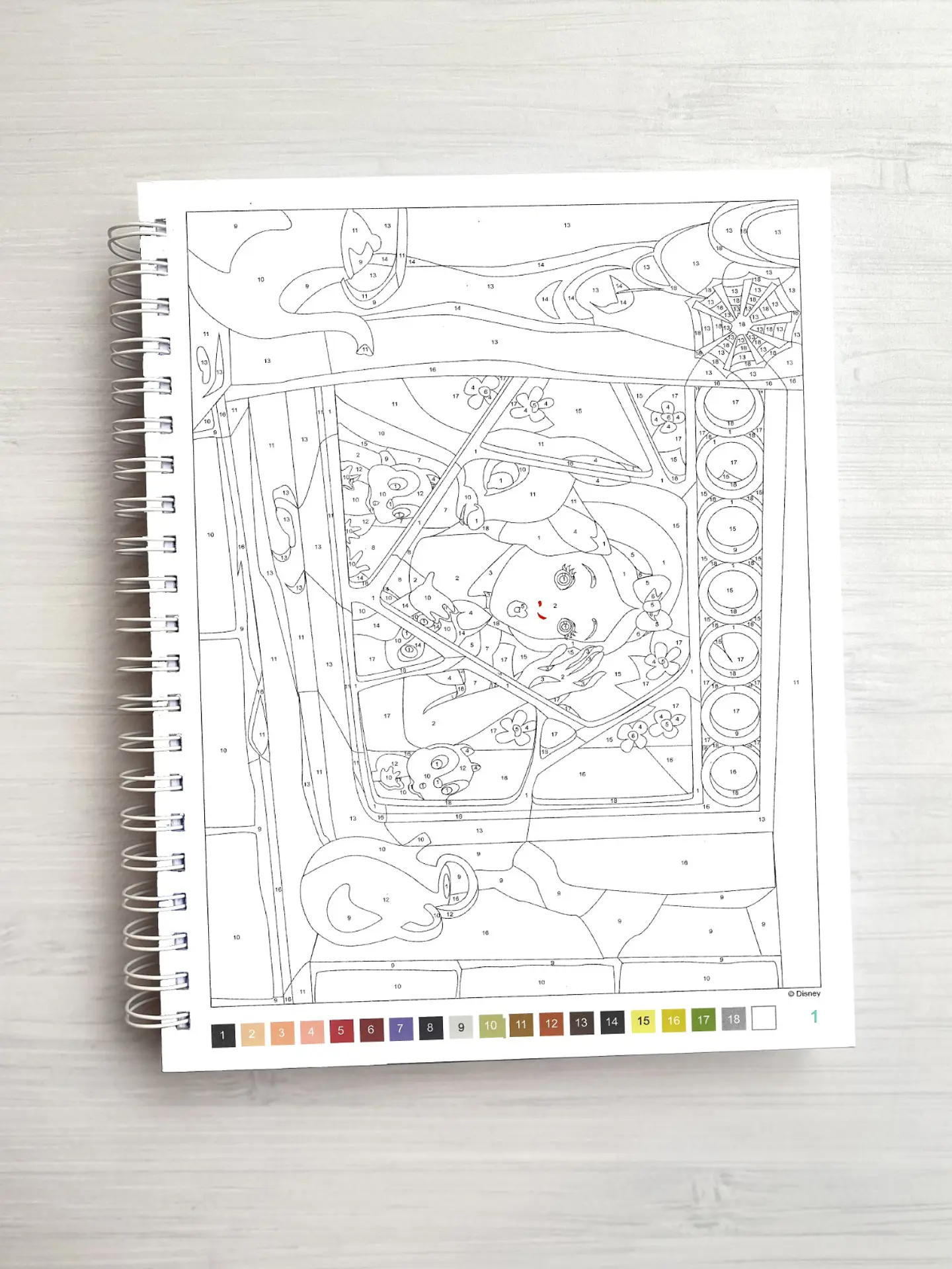Libro para colorear 