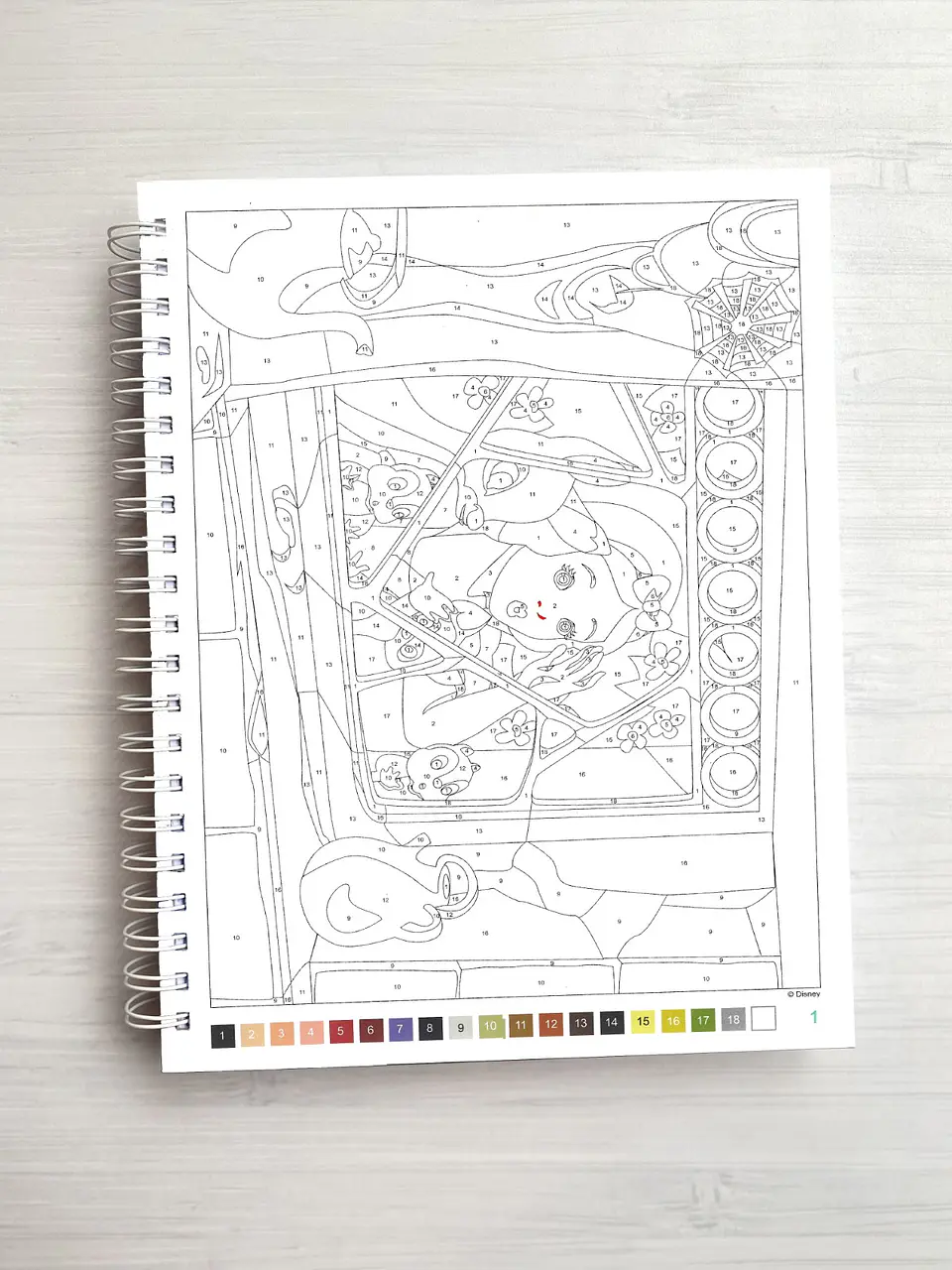 Libro para colorear 