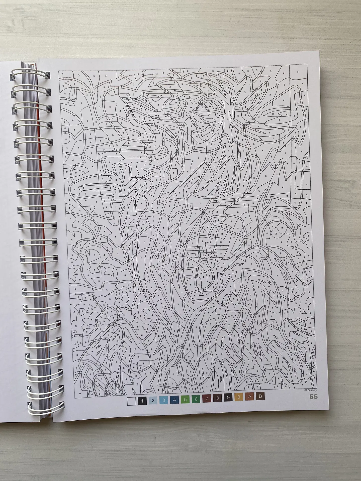 Libro para colorear 