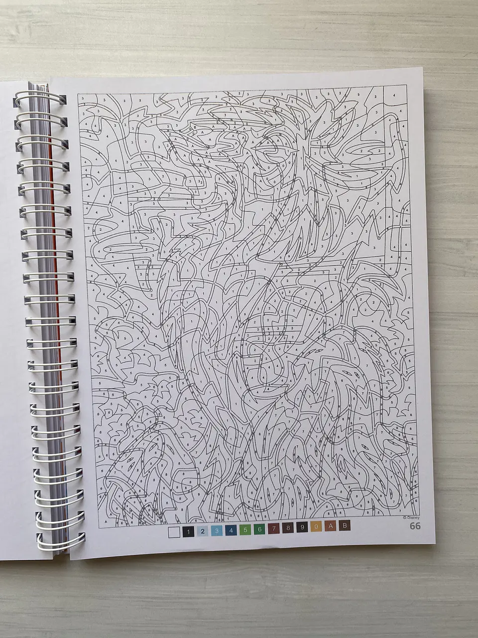 Libro para colorear 