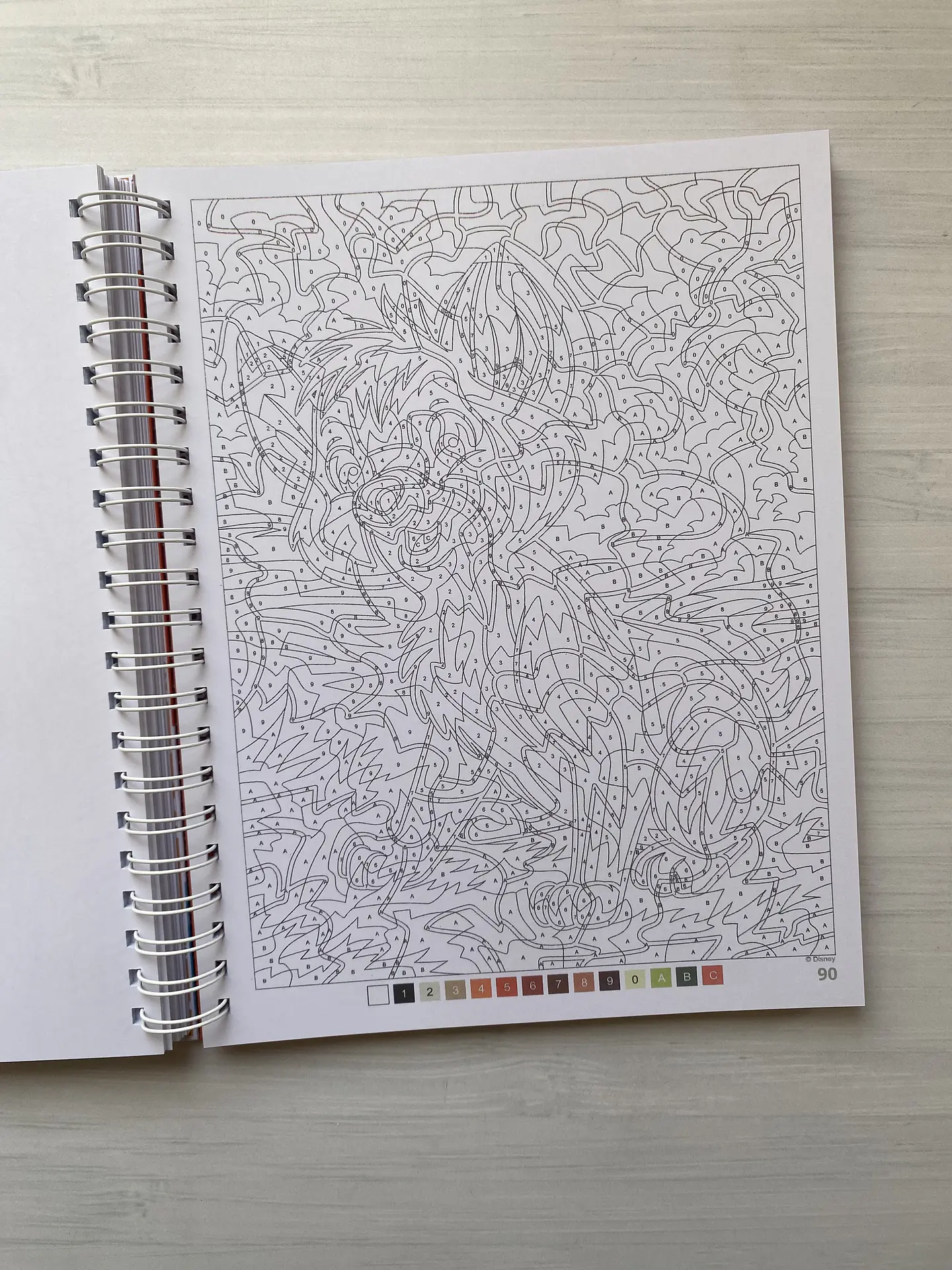 Libro para colorear 