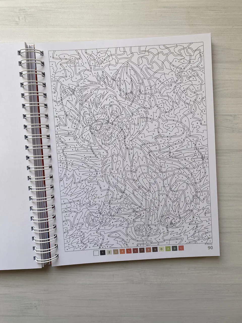 Libro para colorear 