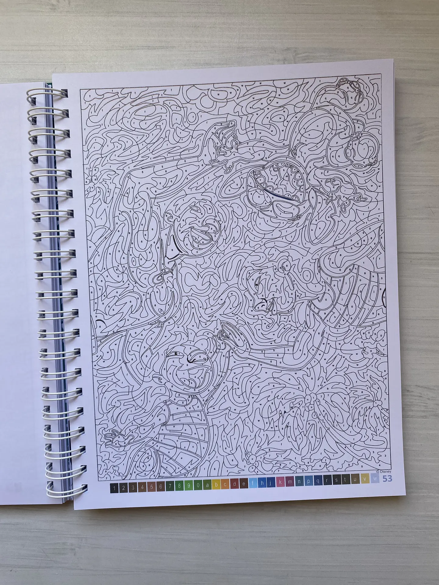 Libro para colorear 