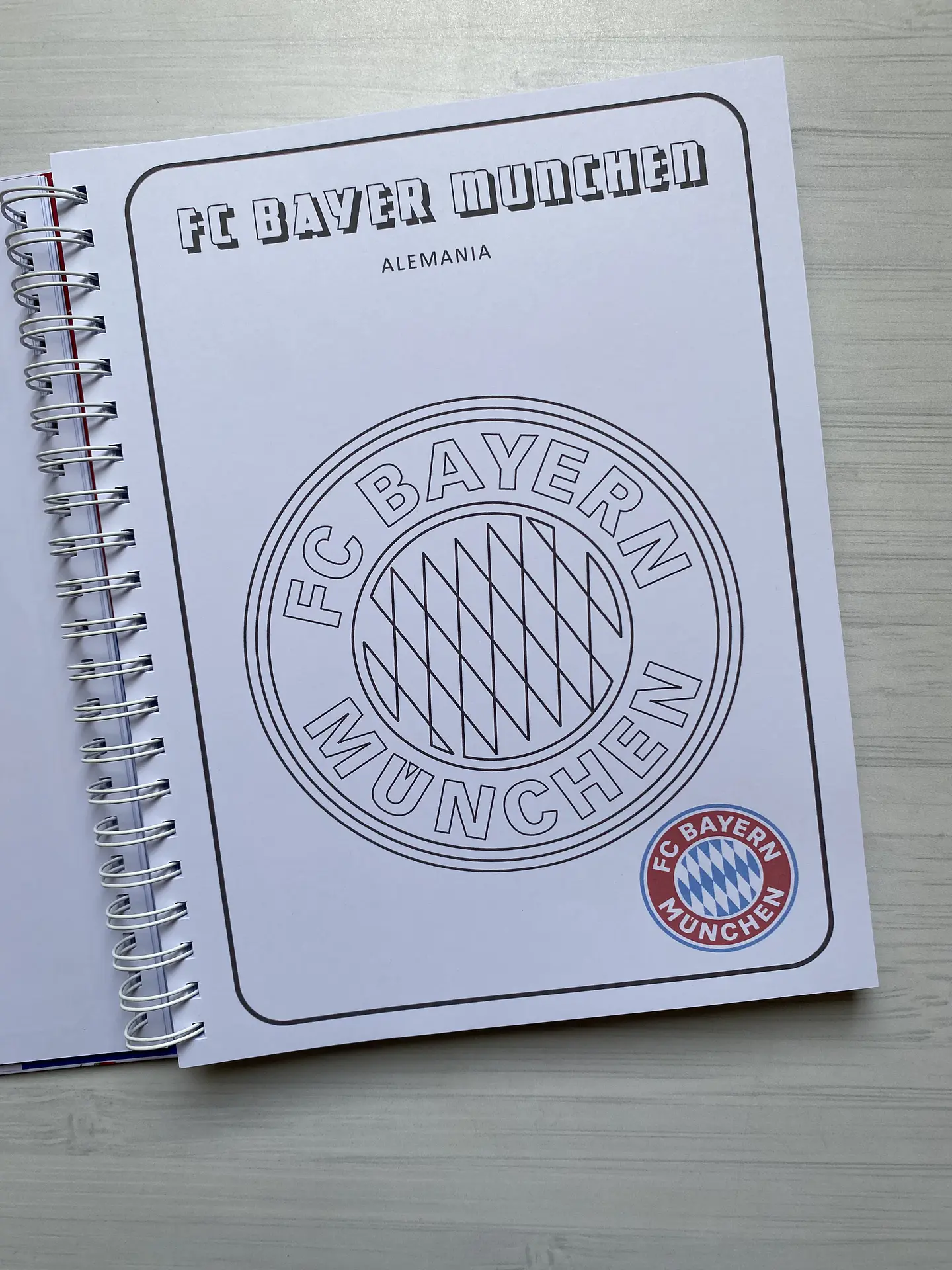 Libro para colorear “Escudos del futbol Mundial” 3