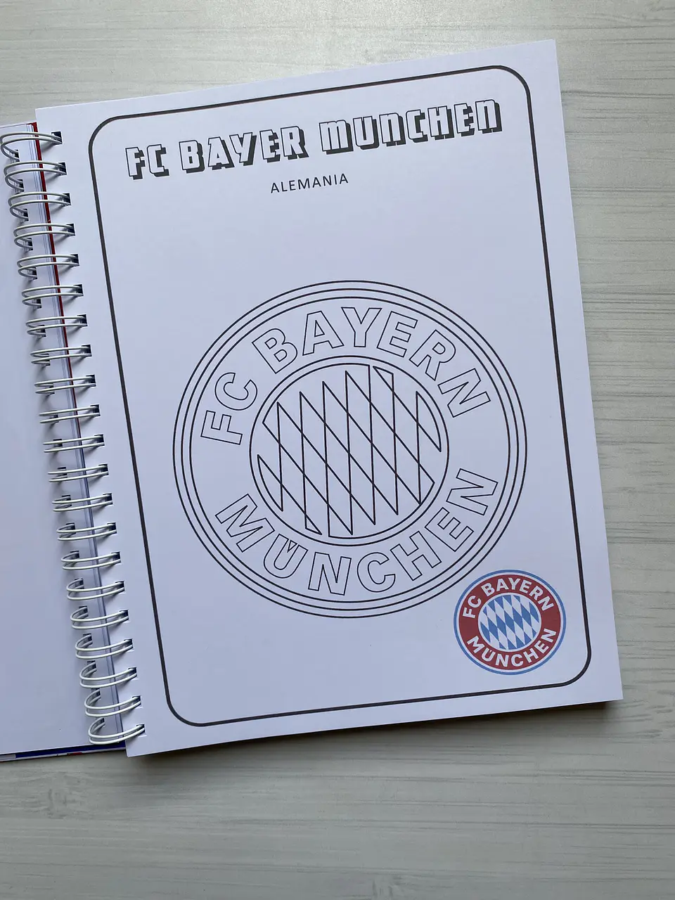 Libro para colorear “Escudos del futbol Mundial” 3