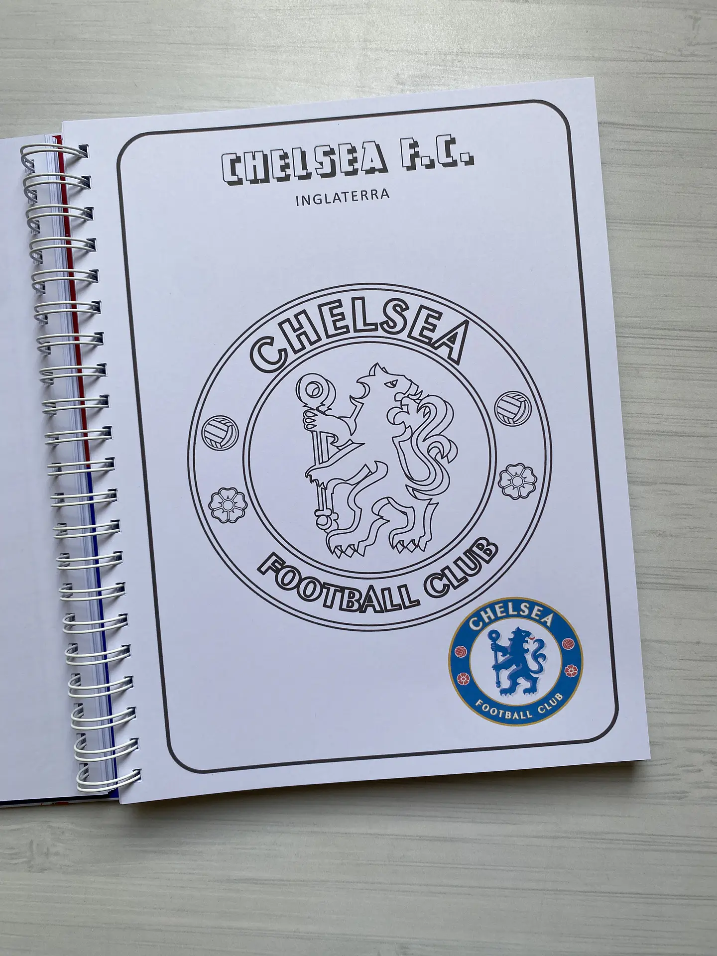 Libro para colorear “Escudos del futbol Mundial” 6