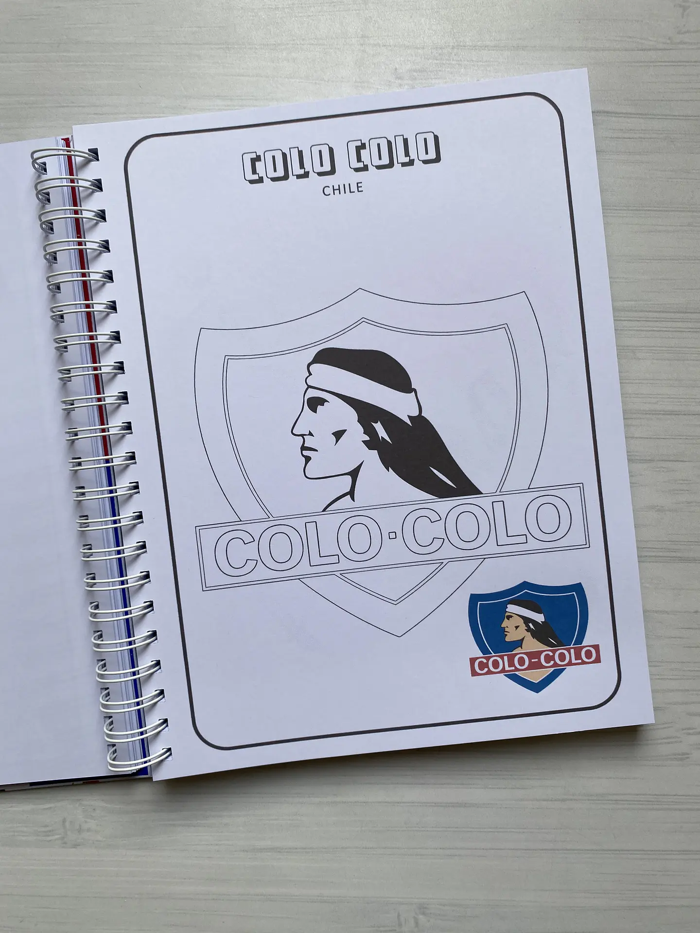 Libro para colorear “Escudos del futbol Mundial” 8