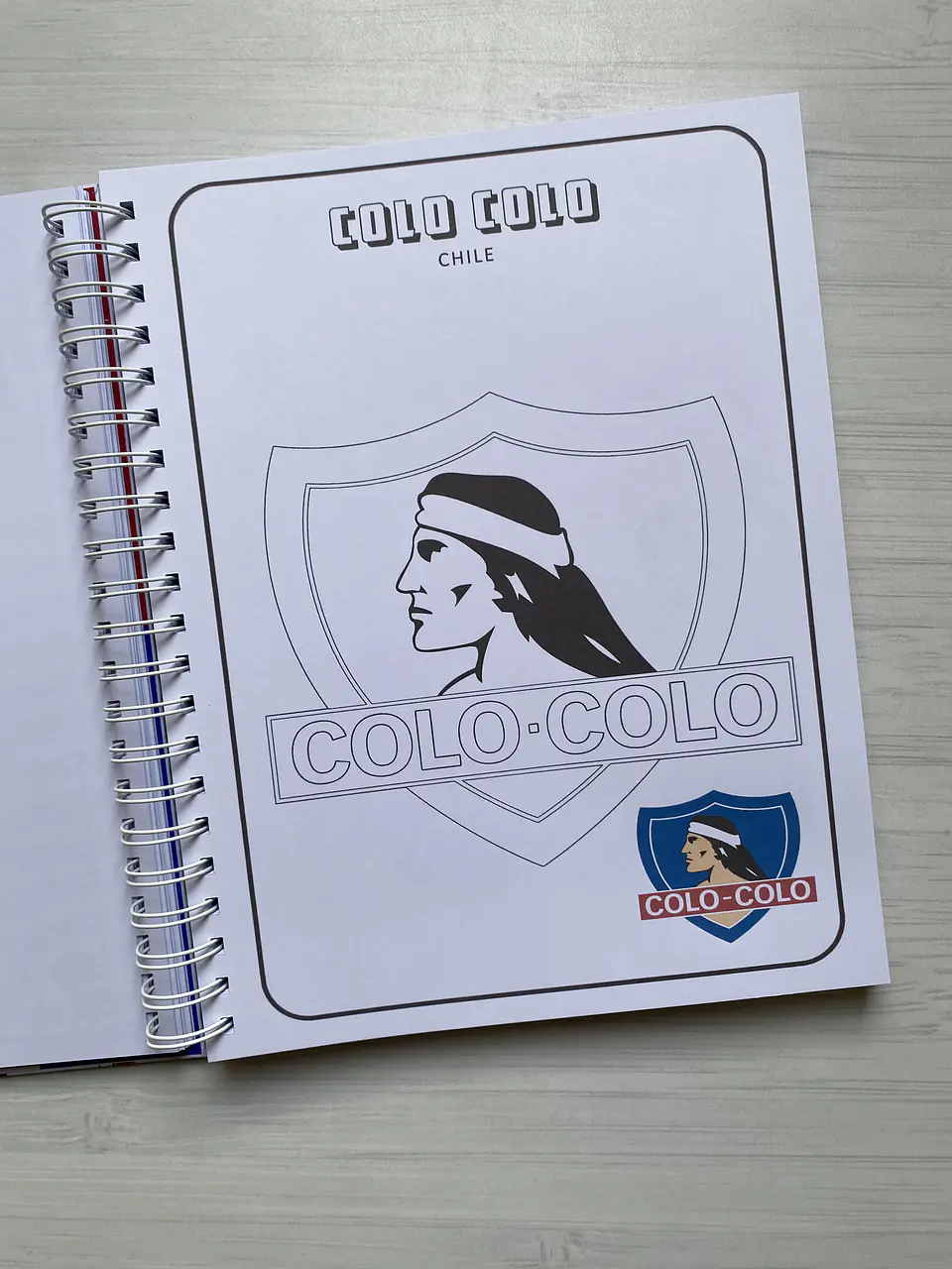 Libro para colorear “Escudos del futbol Mundial” 8