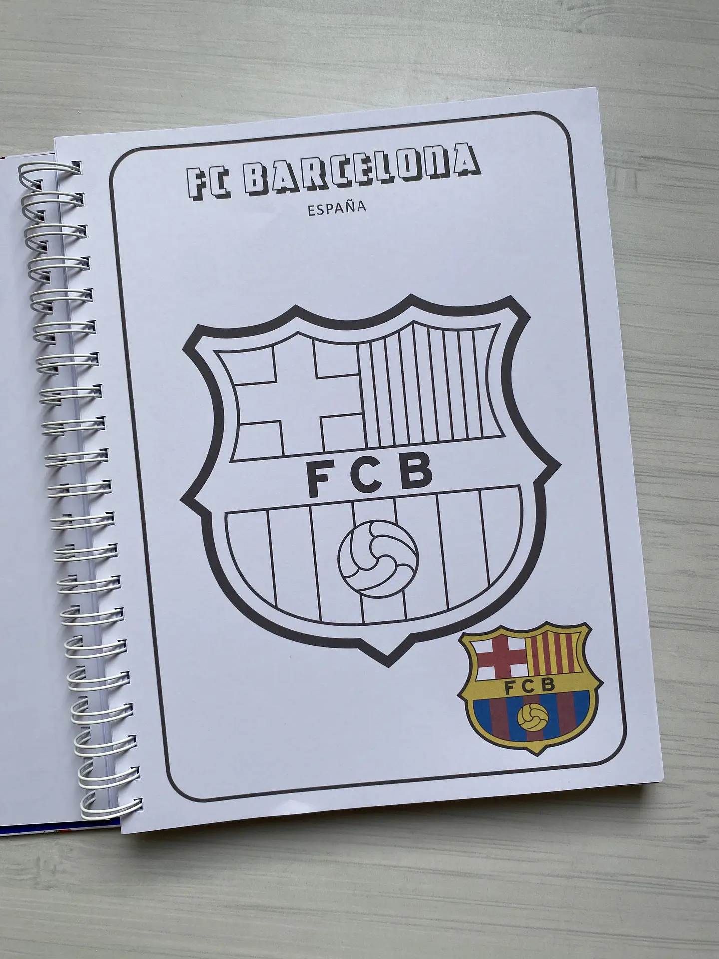 Libro para colorear “Escudos del futbol Mundial” 11