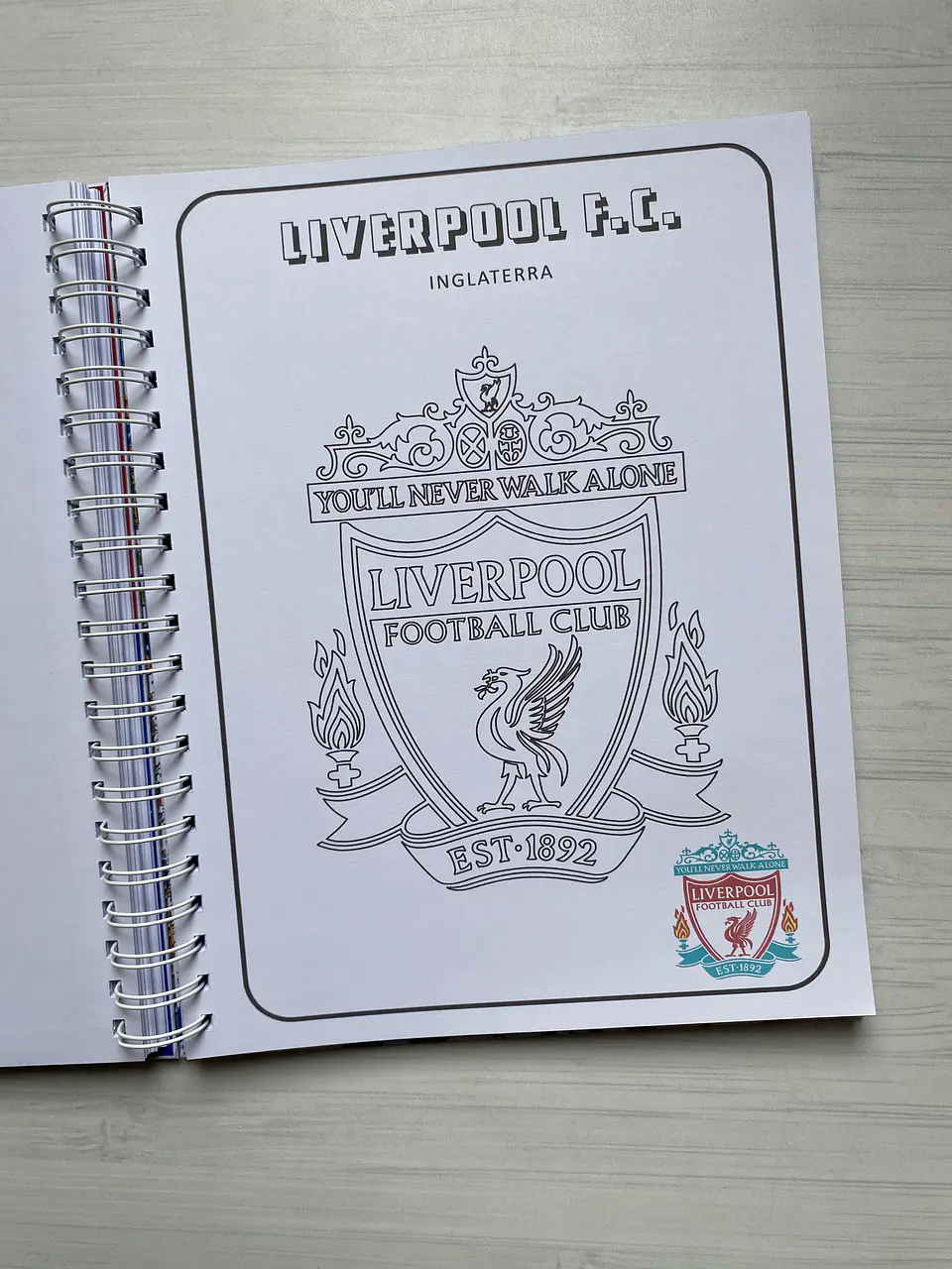 Libro para colorear “Escudos del futbol Mundial” 19