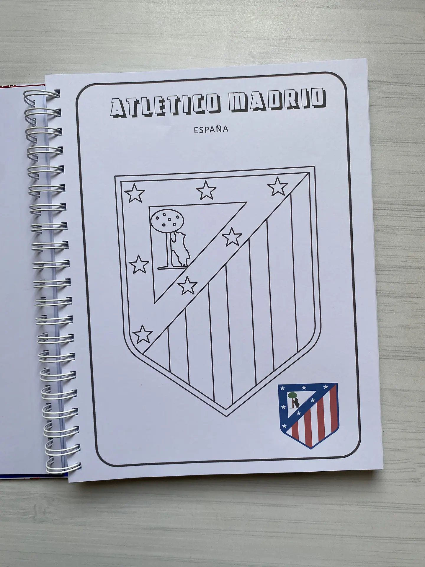Libro para colorear “Escudos del futbol Mundial” 22