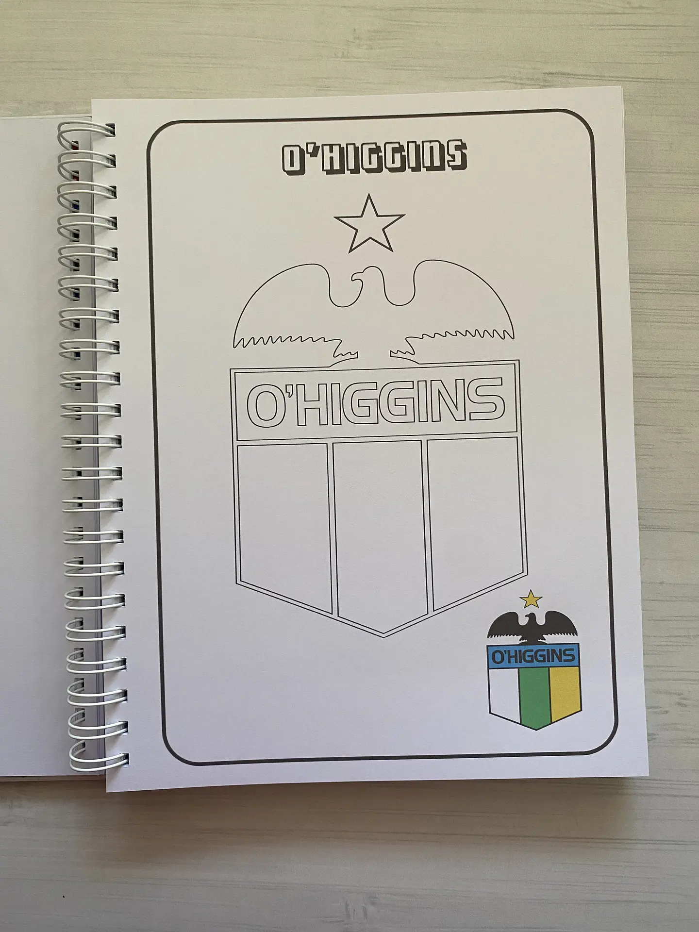 Libro para colorear Escudos Campeonato Nacional CHILE 4