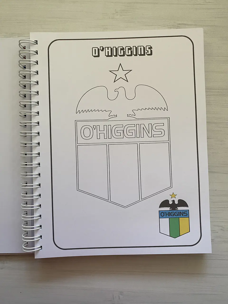 Libro para colorear Escudos Campeonato Nacional CHILE 4