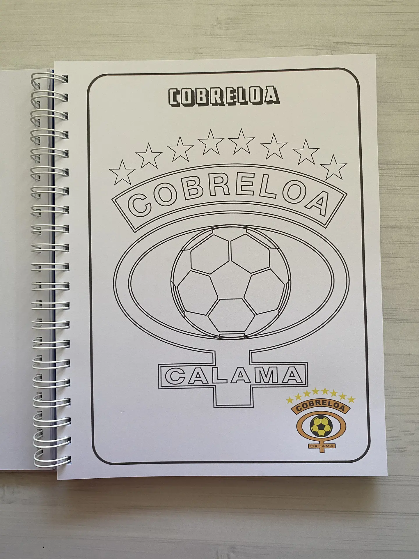 Libro para colorear Escudos Campeonato Nacional CHILE 7