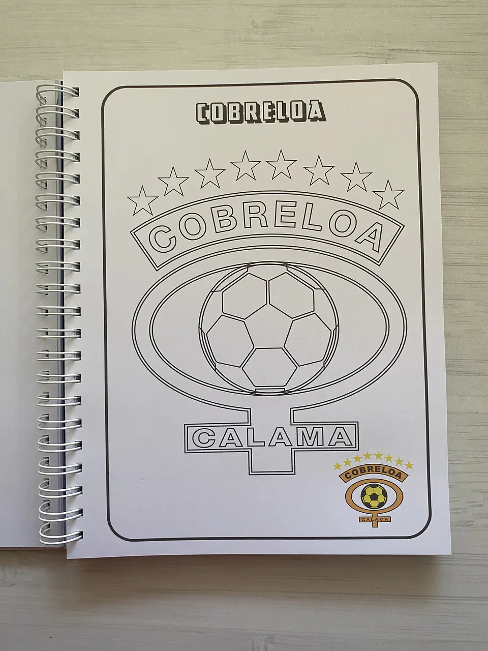 Libro para colorear Escudos Campeonato Nacional CHILE 7