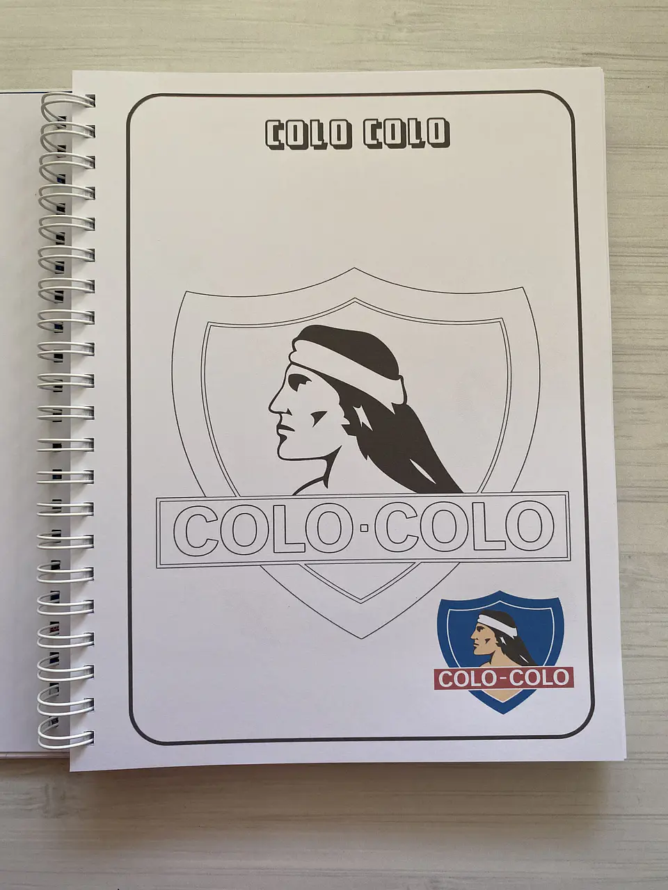 Libro para colorear Escudos Campeonato Nacional CHILE 8