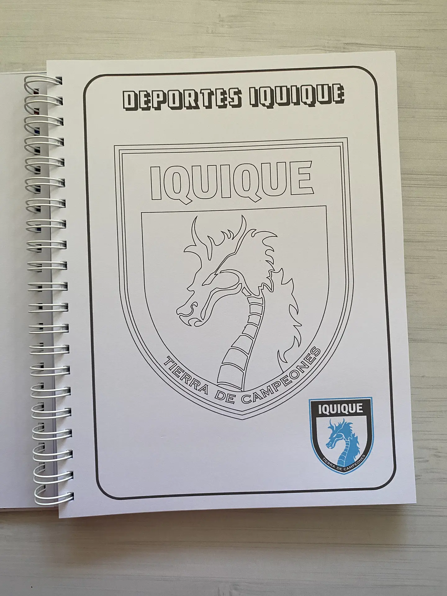 Libro para colorear Escudos Campeonato Nacional CHILE 14