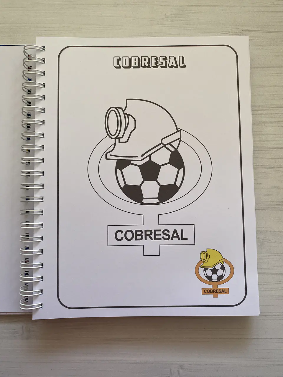 Libro para colorear Escudos Campeonato Nacional CHILE 18
