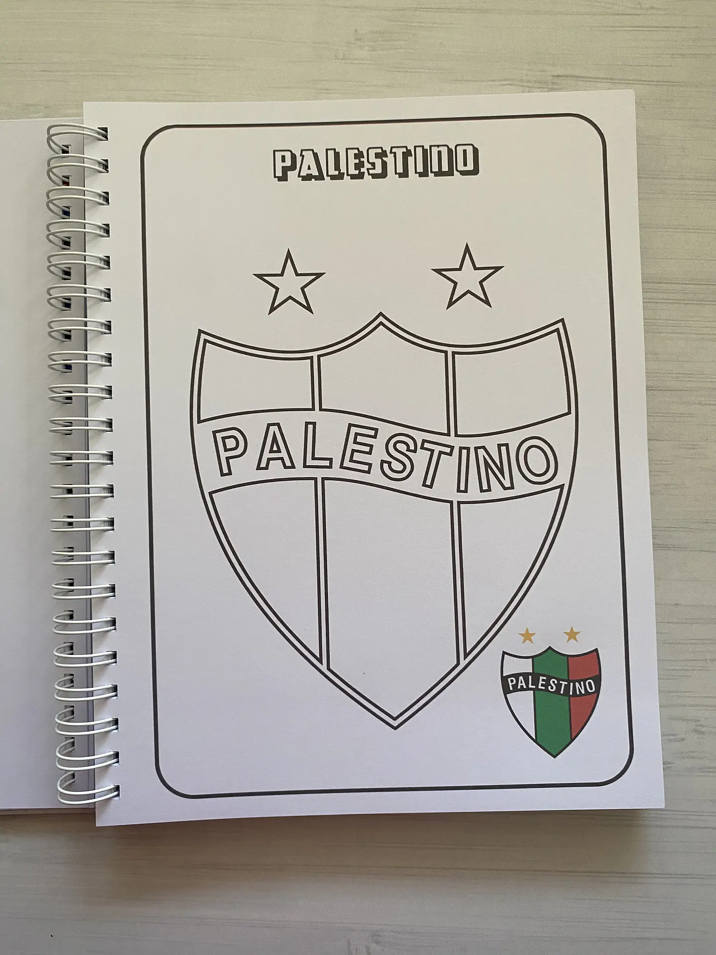 Libro para colorear Escudos Campeonato Nacional CHILE 19