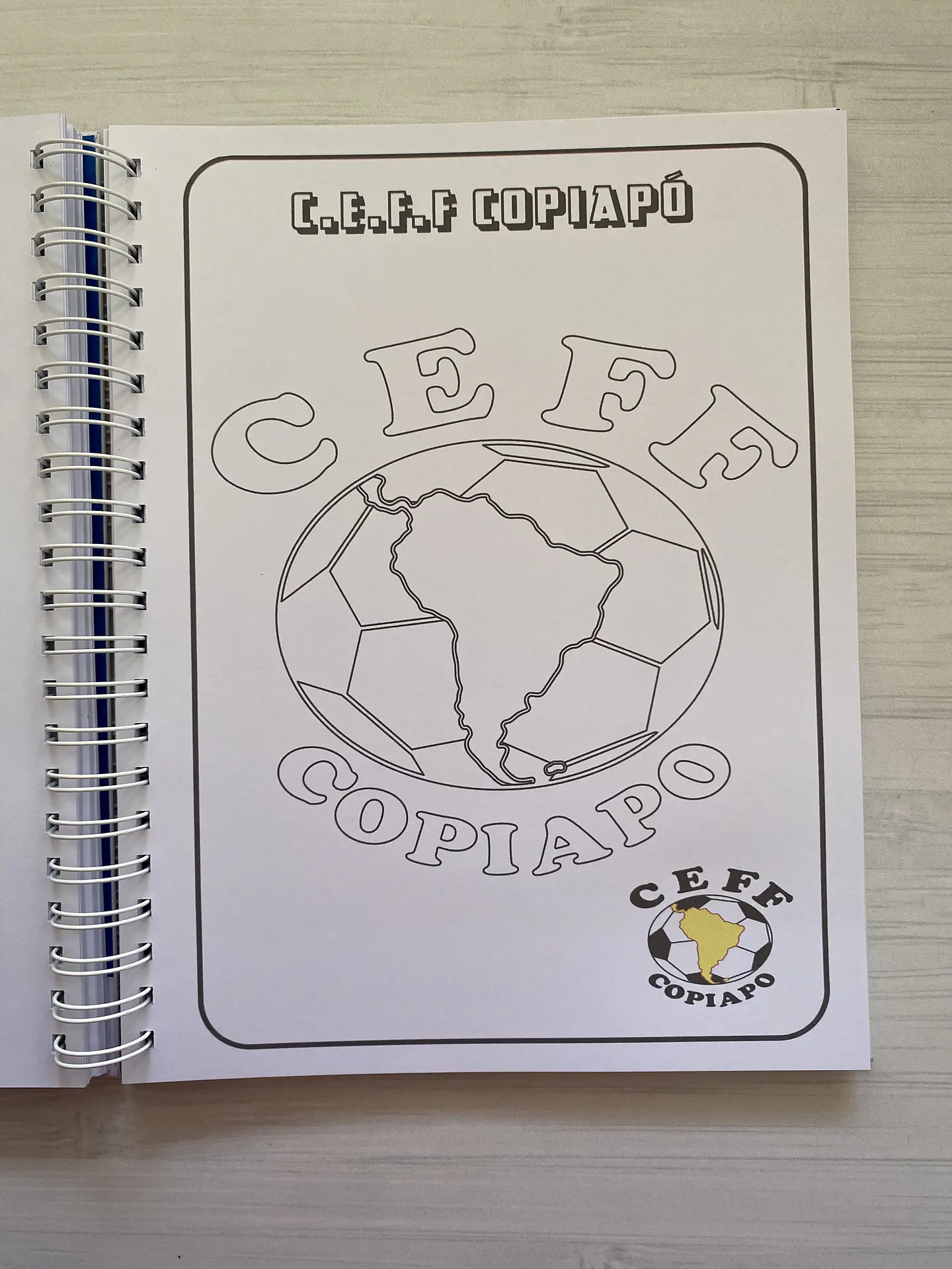 Libro para colorear Escudos Campeonato Nacional CHILE 21