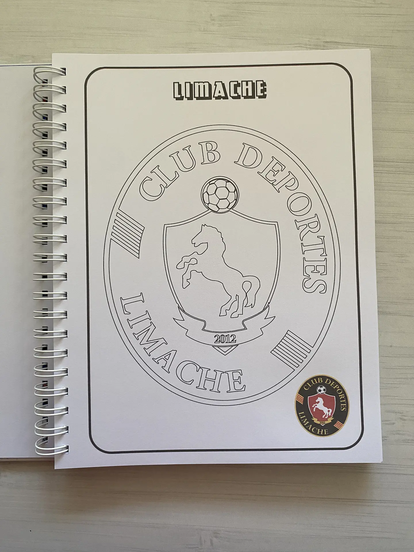 Libro para colorear Escudos Campeonato Nacional CHILE 22