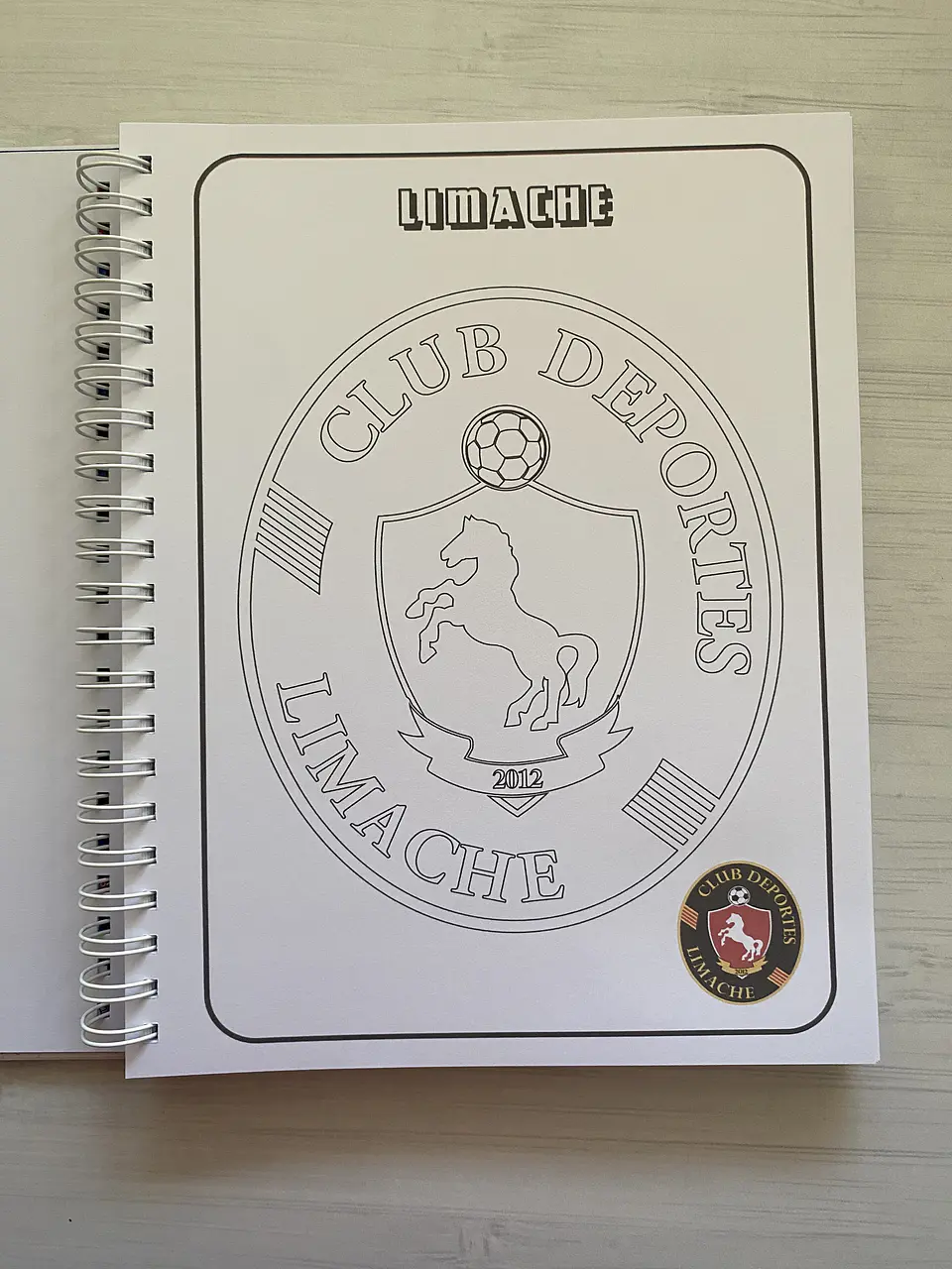 Libro para colorear Escudos Campeonato Nacional CHILE 22
