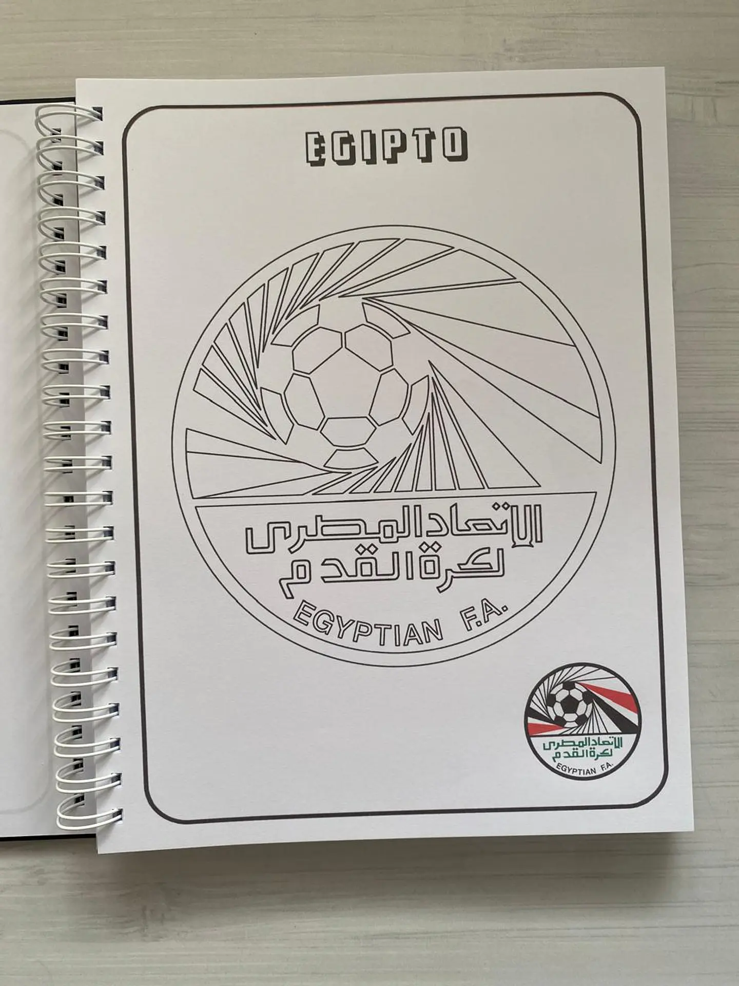 Libro para colorear “Escudos de los equipos de la copa mundial de la FIFA” 13